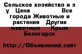 Сельское хозяйство и з/у › Цена ­ 2 500 000 - Все города Животные и растения » Другие животные   . Крым,Белогорск